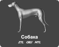 3D Модель - Собака