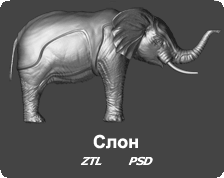3D Модель - Слон